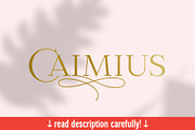 Calmius Extra Light, a Serif Font by NREY (Thumbnail 1 of 11)