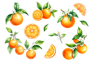 Orange Fruits In Watercolor Style, an Object Graphic by Black White Mouse Design
