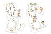 Watercolor Life Cycle Bundle, an Education Illustration by MayaNavits (Thumbnail 10 of 22)