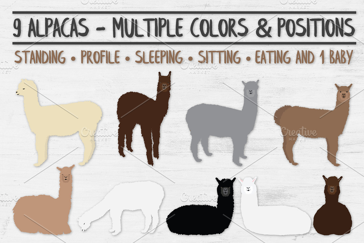 Alpaca Clipart and Accessories, an Animal Illustration by VizualStorm (Photo 3 of 3)