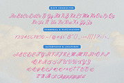 Costaria Script, a Script Font by Letter Fresh (Thumbnail 11 of 11)