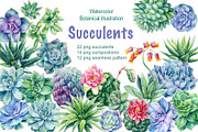 Succulents Botanical Watercolor, a Background Graphic by Hanna Hryharenka (Thumbnail 1 of 15)
