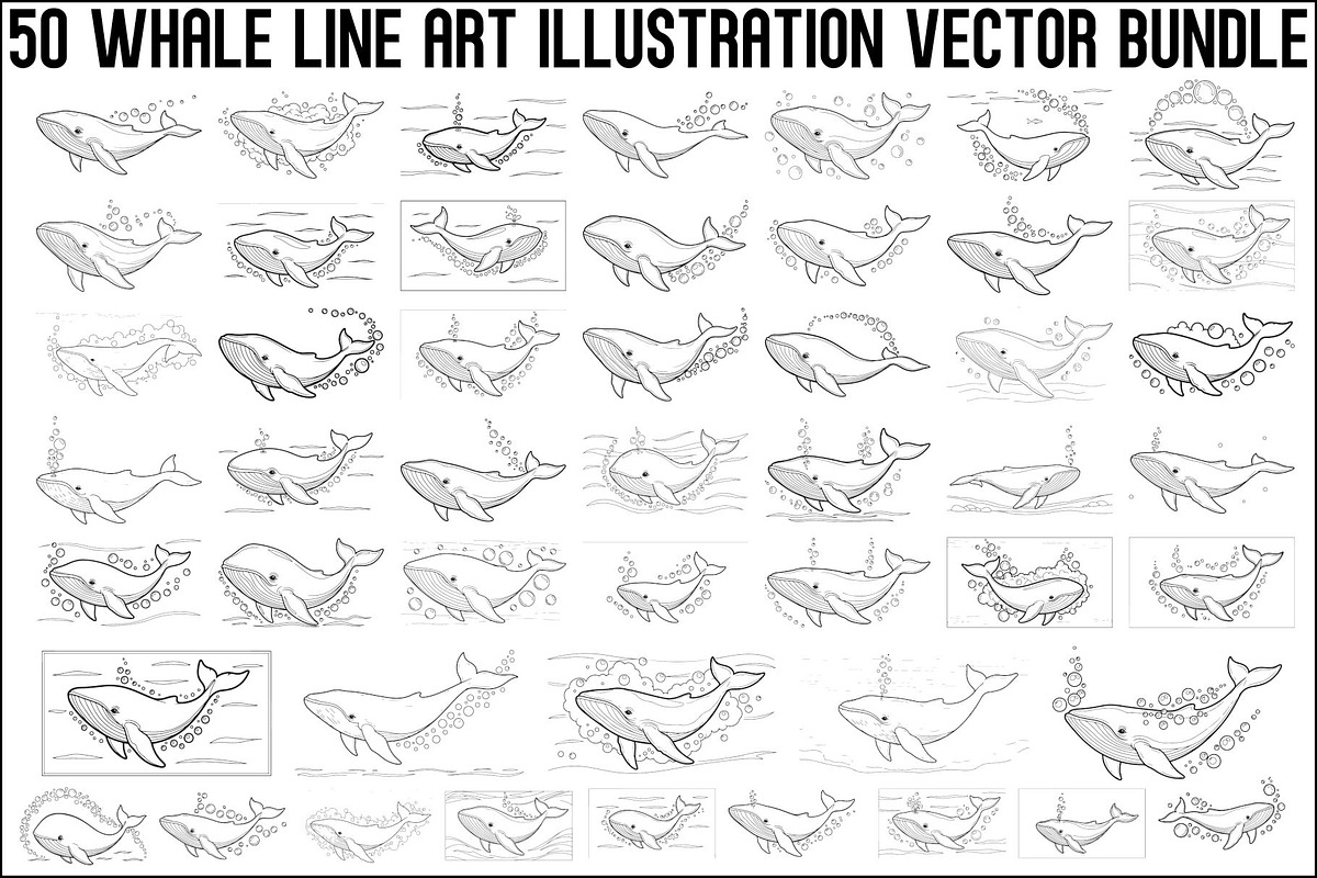 Whale Line Art Vector Bundle, an Illustration by yasushie (Photo 1 of 51)