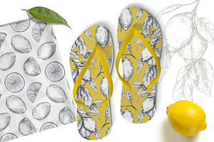 Vector Lemon Fruits