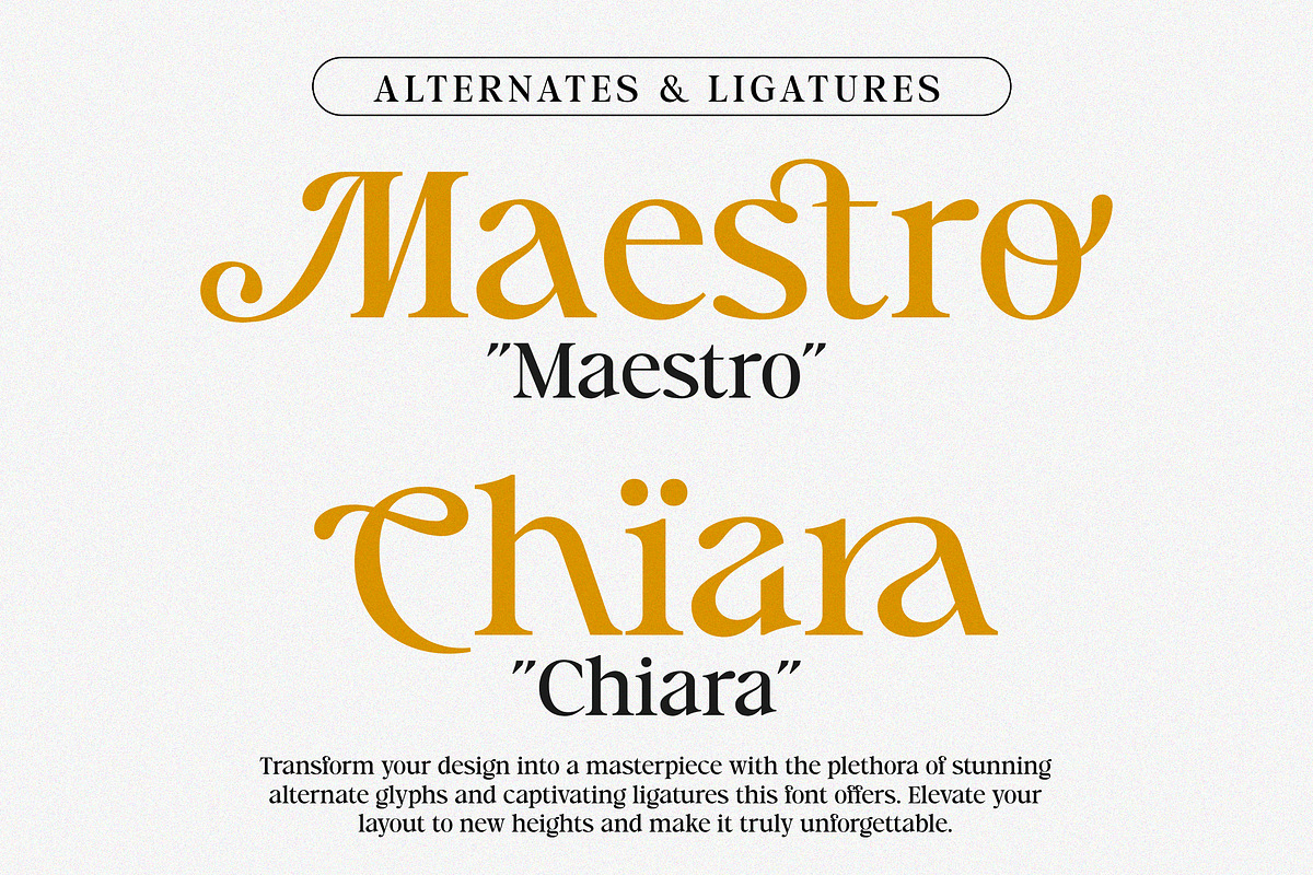 Timeless Memories, a Serif Font by Dora Typefoundry (Photo 8 of 10)