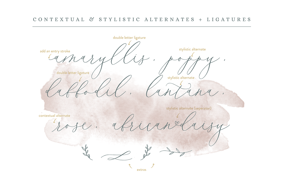 Bluebells Script, a Script Font by Susan Brand Design (Photo 6 of 9)