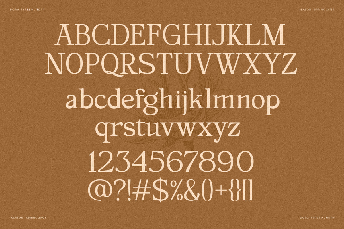Magilla - Serif Font, a Serif Font by Dora Typefoundry (Photo 17 of 19)