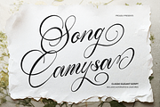 Alventary | Classic Elegant Script, a Script Font by gracetype_studio (Thumbnail 1 of 12)