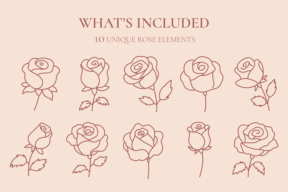 ROSE LINE ART SET, an Object Illustration by OREHOVKA (Photo 2 of 4)