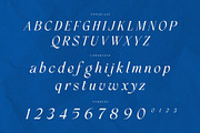 Frenchy Italic – Ligature Serif, a Serif Font by Krismagraph (Thumbnail 9 of 10)