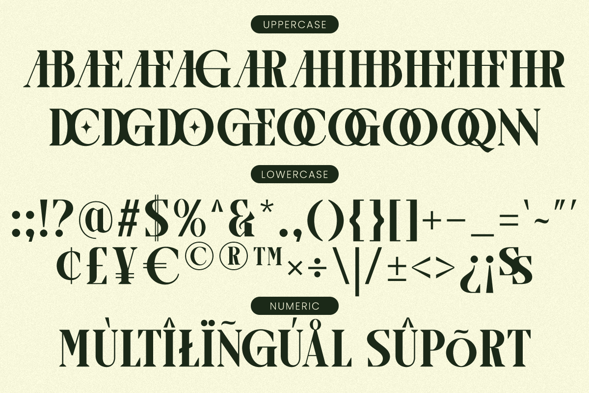 Luxury Ligature Serif Font - Arogel, a Serif Font by Say Studio (Photo 10 of 10)