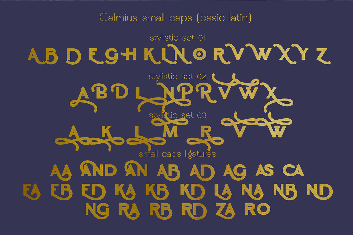 Calmius Sans, a Sans Serif Font by NREY (Photo 6 of 7)