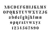 Single Malt Font, a Serif Font by Yury Veselov (Thumbnail 9 of 9)