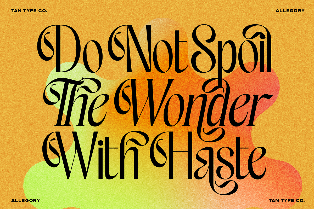TAN - ALLEGORY, DUO FONT, a Serif Font by TanType (Photo 10 of 10)