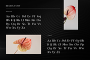 Begies - Modern Display Font, a Sans Serif Font by Sronstudio (Thumbnail 13 of 14)
