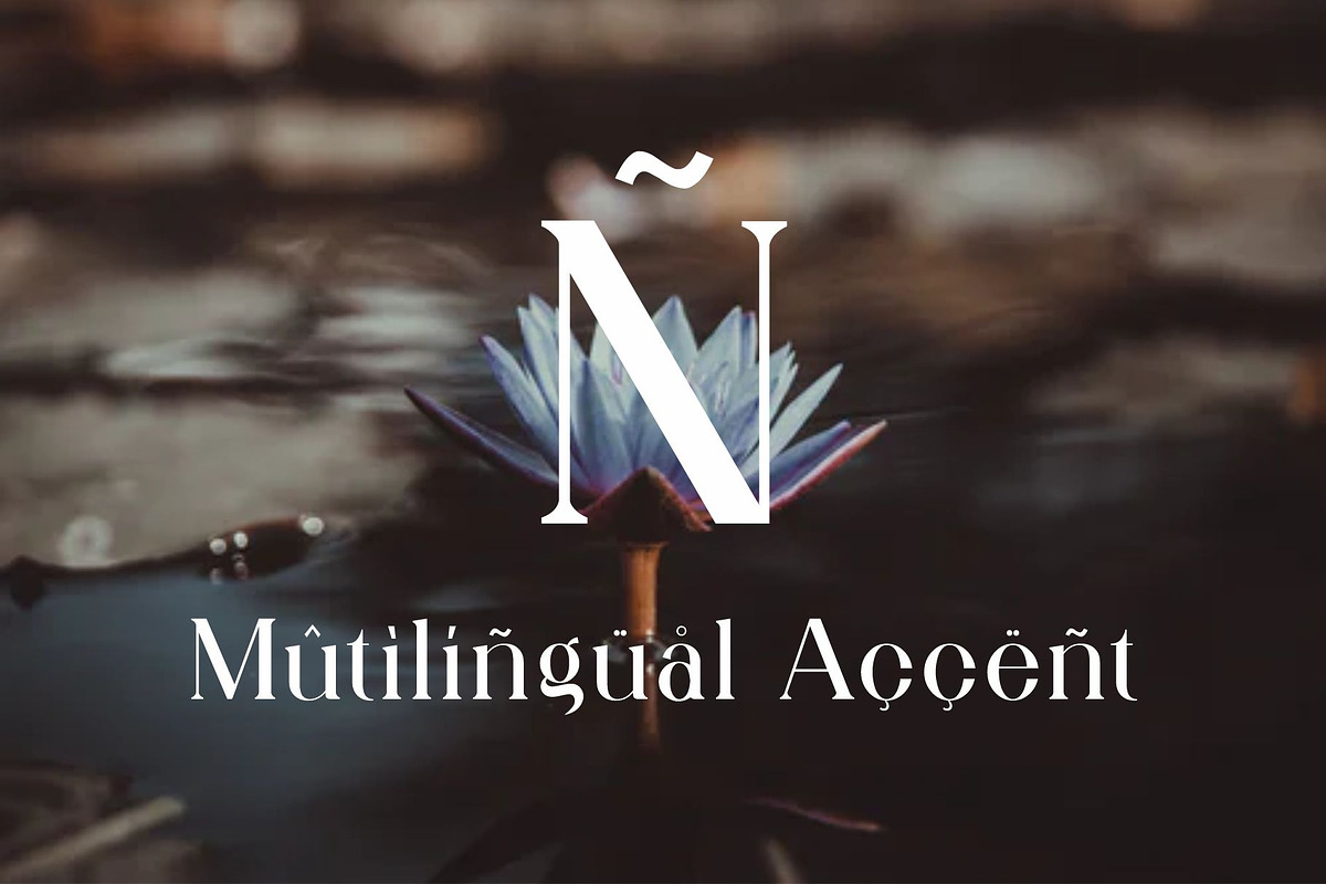Qitello Ligature Serif Typeface, a Serif Font by Alfinart (Photo 8 of 10)