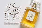 Quadrian - Elegant Script, a Script Font by Arterfak Project (Thumbnail 9 of 13)