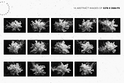 White Floral Under Black Water, a Background Graphic by Lumeno (Thumbnail 2 of 3)