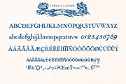 Chene & Laurier Elegant Serif Font, a Serif Font by LABFcreations (Thumbnail 6 of 10)