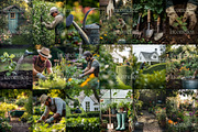 50 Gardening Stock Photos, an Arts & Entertainment Photo by Incomelion (Thumbnail 2 of 8)