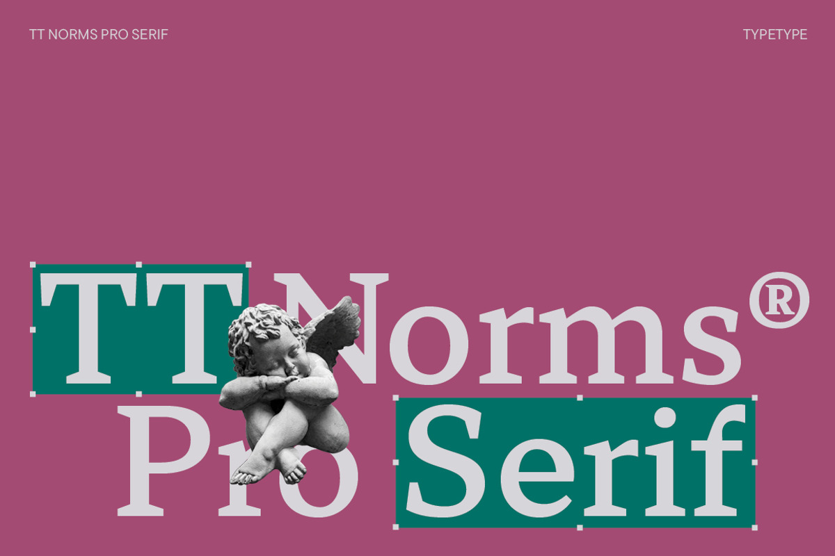 TT Norms Pro Serif, a Serif Font by TypeType (Photo 1 of 15)