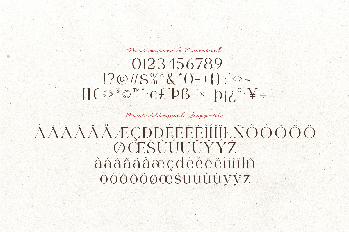 Blushing Rose - Stylish Modern Serif, a Serif Font by Sarid Ezra (Photo 10 of 13)