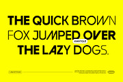 Avantique Geometric Variable 7 Fonts, a Sans Serif Font by Casloop Studio (Thumbnail 8 of 9)