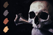 Skull Swatches, a Palette Add-On by PandoraDreams (Thumbnail 1 of 3)