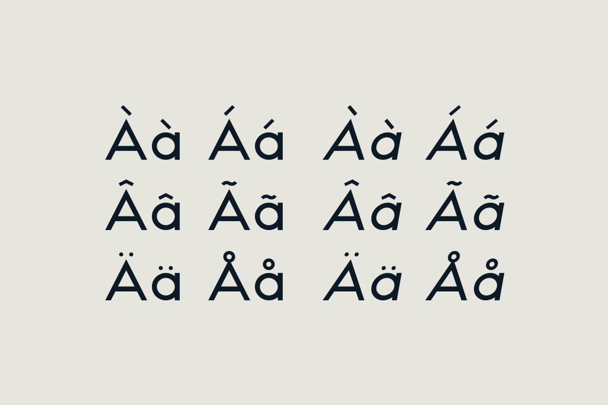 HAUS Sans Medium preview 4