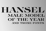 TroxeLMS, a Serif Font by glukfonts (Thumbnail 7 of 9)