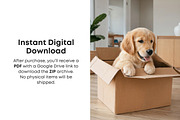 Dog Stock Photos Bundle, an Animal Photo by Selenique Studio (Thumbnail 4 of 13)