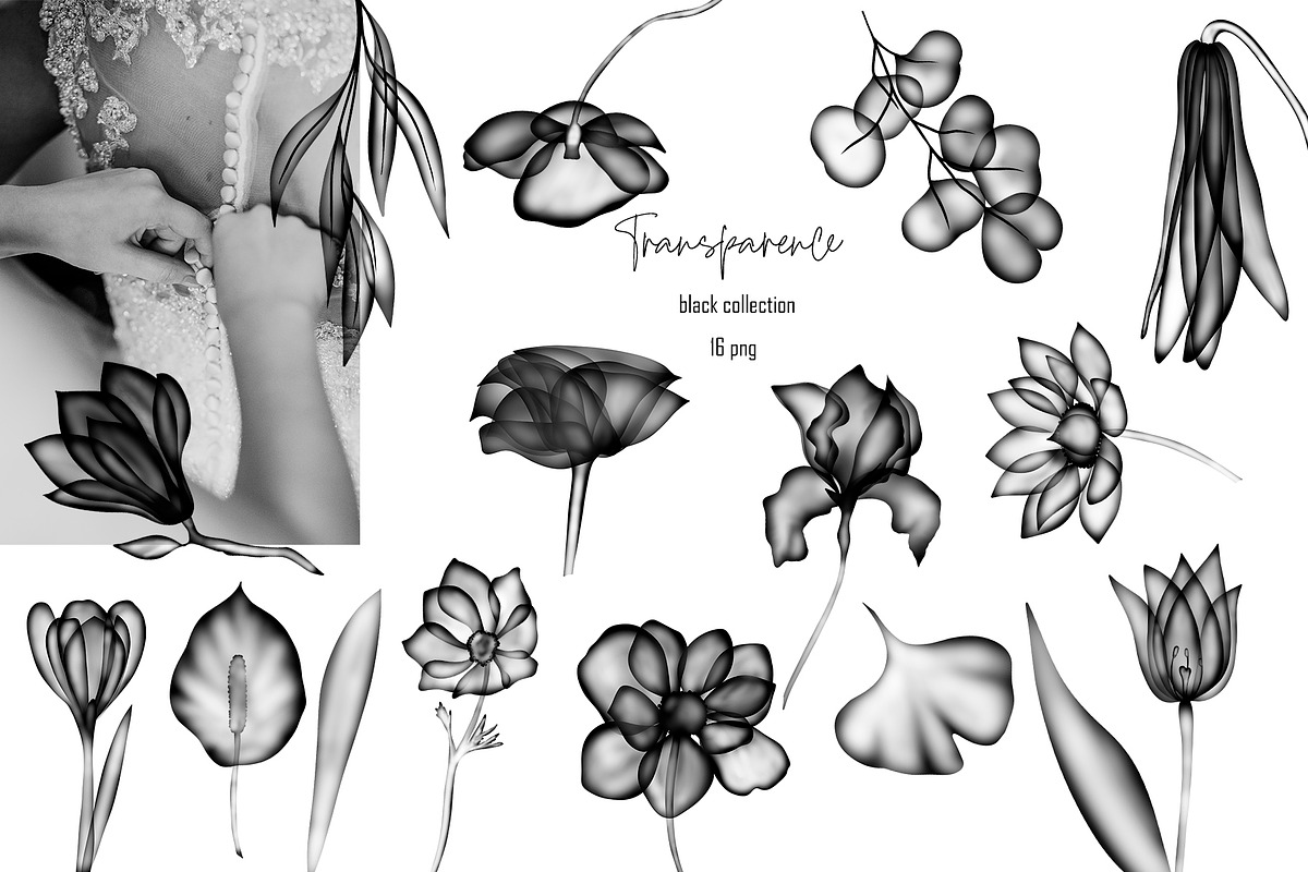 TRANSPARENT FLORA abstract BUNDLE, a Texture Illustration by ArtOLB (Photo 5 of 14)