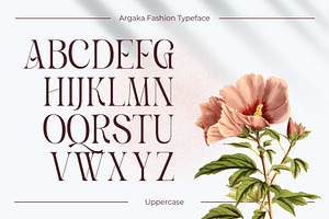 Argaka Fashion - Modern Serif