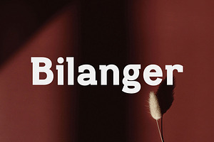 Bilanger - Modern Sans Serif