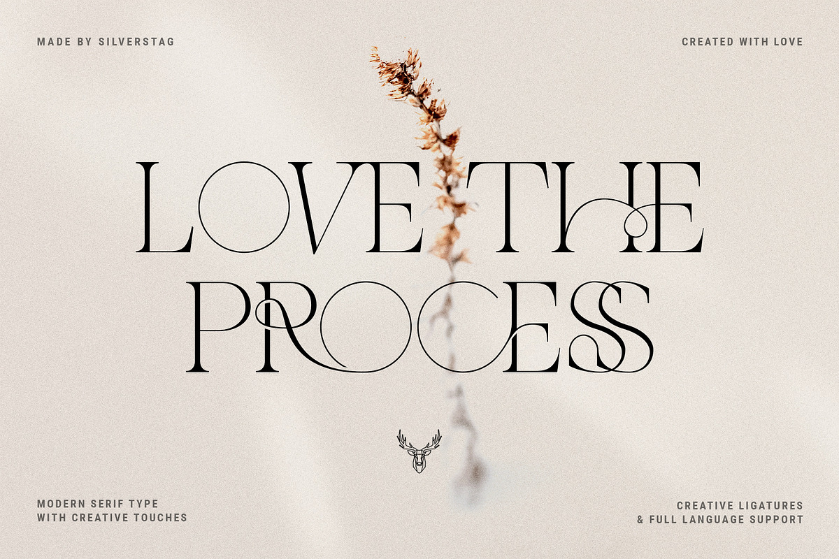 THE FRENCH KISS ROYAL TYPEFACE, a Serif Font by SilverStag Type Foundry (Photo 13 of 23)