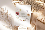 Watercolor Botanical Wildflowers Set, a Decorative Illustration by Carol Lozove (Thumbnail 3 of 36)