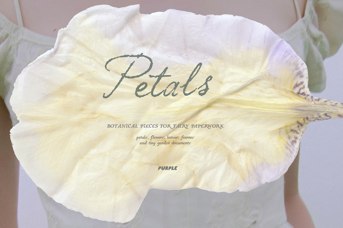 Petals Garden Collage Kit, an Object Graphic by Purple (Photo 6 of 15)