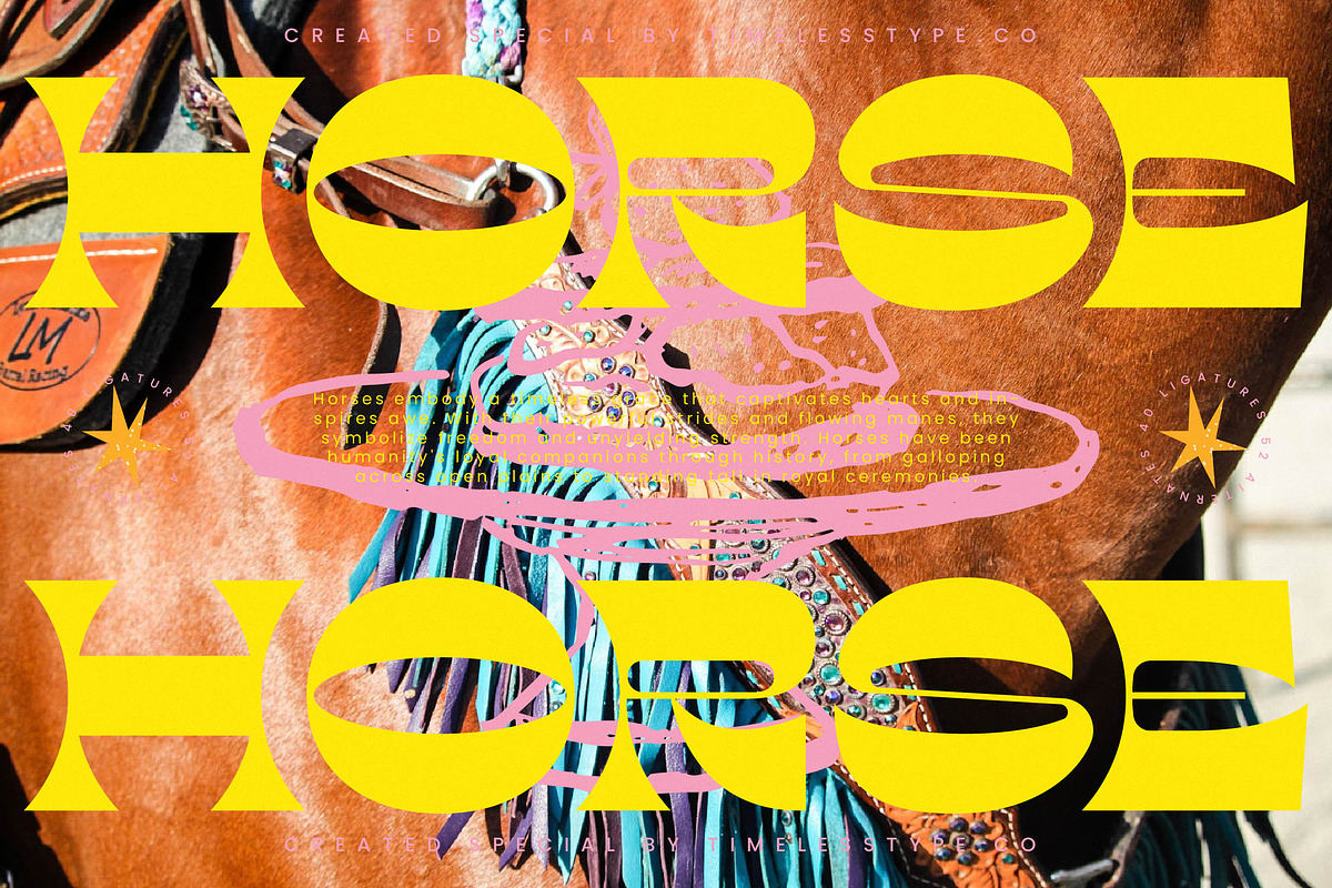 Charmo Style Modern Display Serif, a Serif Font by timelesstype.co (Photo 11 of 20)