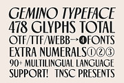 TNSC Gemino - Sans & Serif Typeface, a Serif Font by The Native Saint Club (Thumbnail 11 of 14)