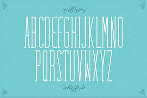 Fabuleuse Slab Font + Free Bonus, a Slab Serif Font by Nuno Dias