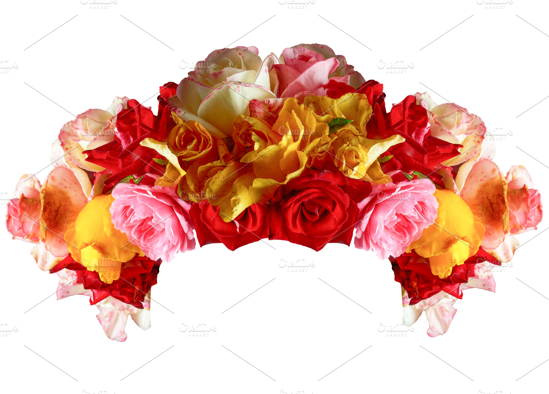 Colorful floral wreath of multicolor roses for head on an isolat, an Abstract Photo by ndanko