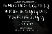 Bestina, a Handwritten Font by FreshTypeINK (Thumbnail 2 of 8)