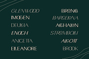 Croiscella Elegant Sans Serif, a Sans Serif Font by takoliko (Thumbnail 3 of 14)