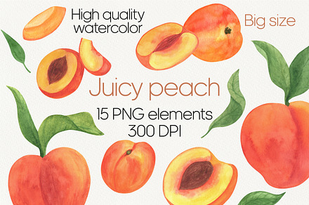 Peach fruit watercolor clipart PNG