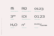 Prose Sans | Sans Serif Font Family, a Sans Serif Font by Ayca Atalay (Thumbnail 10 of 11)