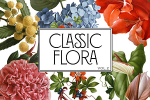 Botanical Flowers vol.2
