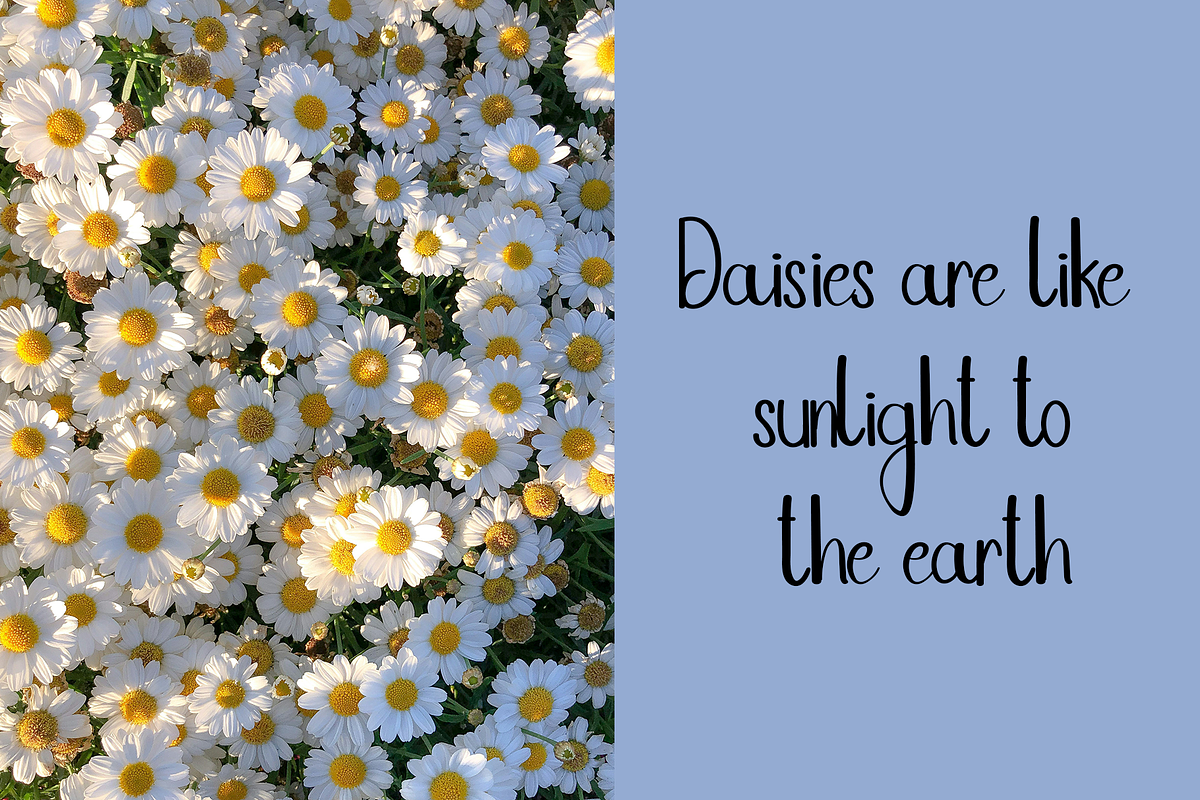 Stars, a Handwritten Font by InermediaSTUDIO (Photo 5 of 8)