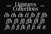 Estetika Maison - Editorial Serif, a Serif Font by The Native Saint Club (Thumbnail 12 of 16)