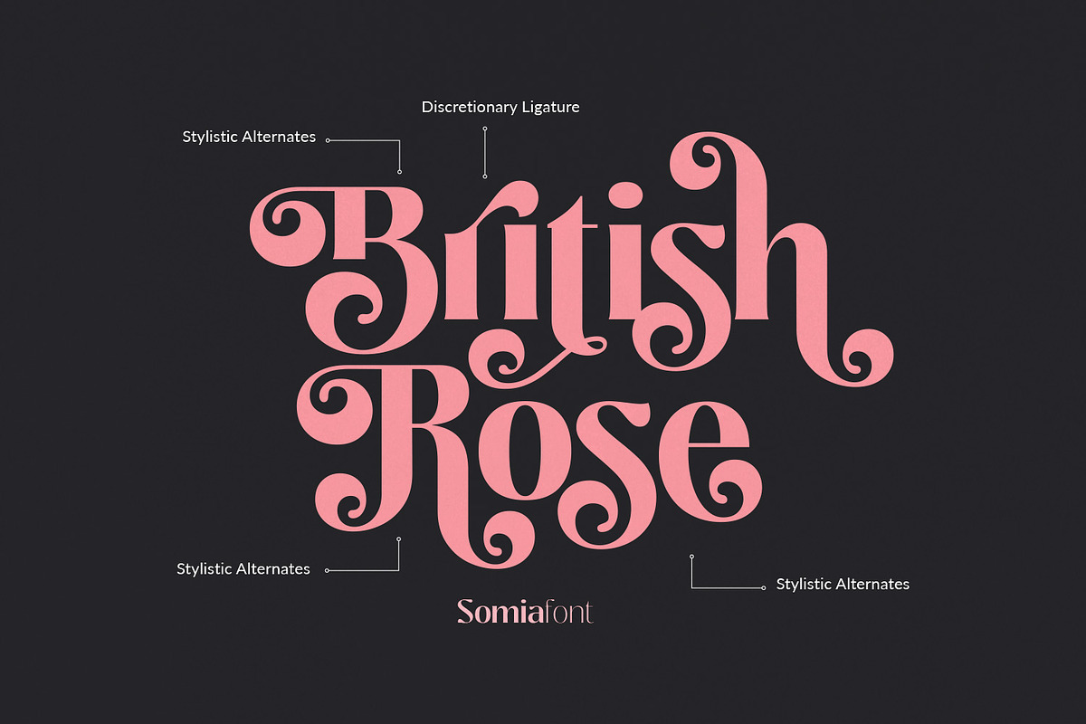 Somia - Decorative Retro Font, a Serif Font by creativemedialab (Photo 10 of 12)