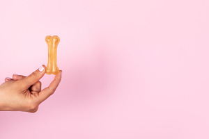 Female hand holding a dog bone treat against a pastel pink backg, a Food & Drink Photo by Ales Munt